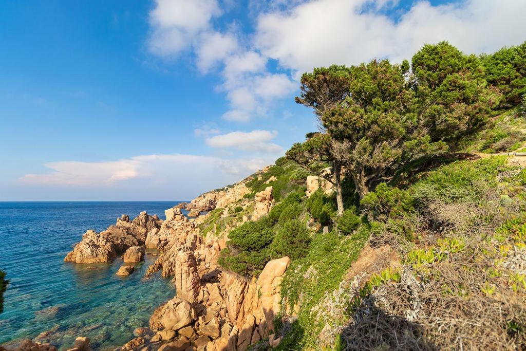 Villa Querida-Infinityholidays Costa Paradiso Dış mekan fotoğraf